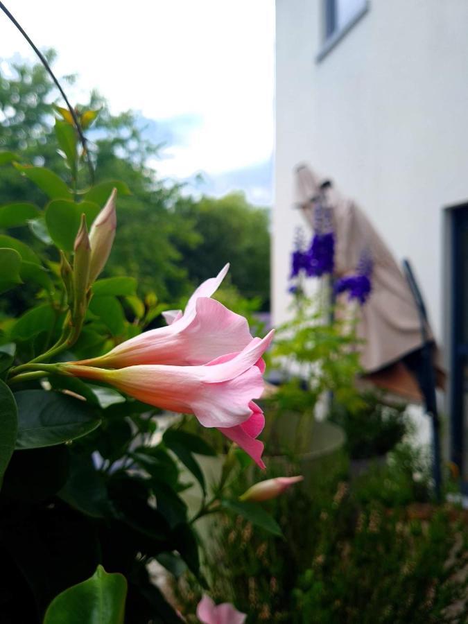 La Suite Cosy - Votre Pause Arboree La Bruyere Екстер'єр фото