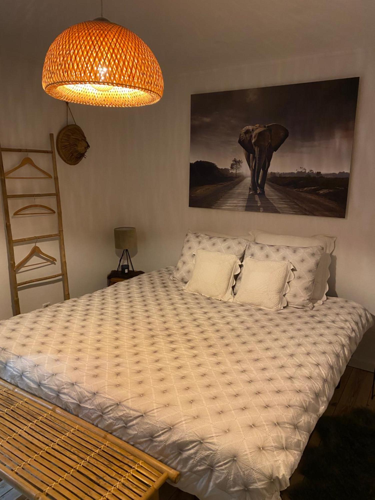 La Suite Cosy - Votre Pause Arboree La Bruyere Екстер'єр фото